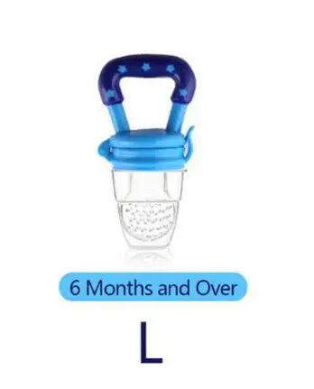 Fresh Fruit Feeder Pacifier
